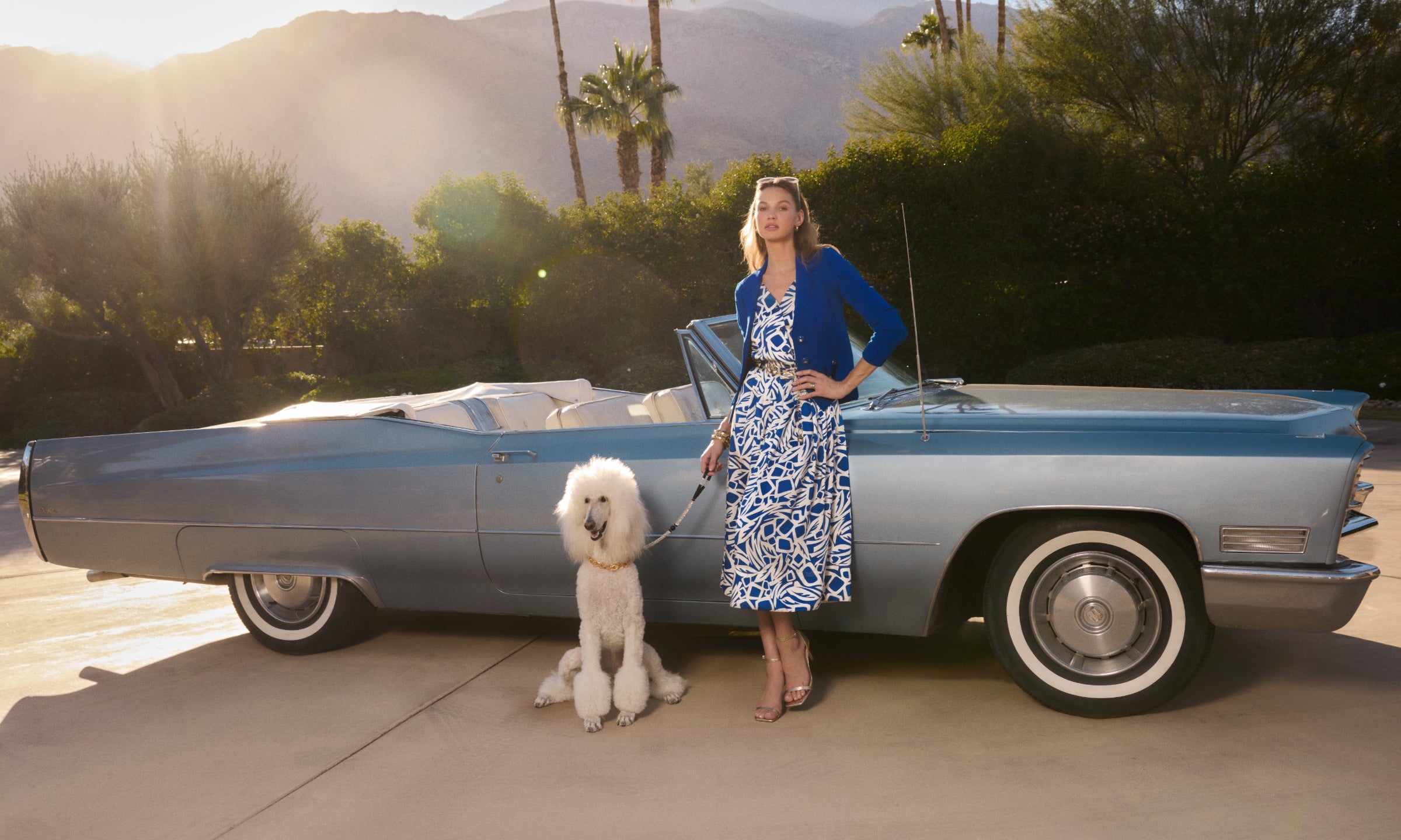 Shop Women's Clothing St. John Knits