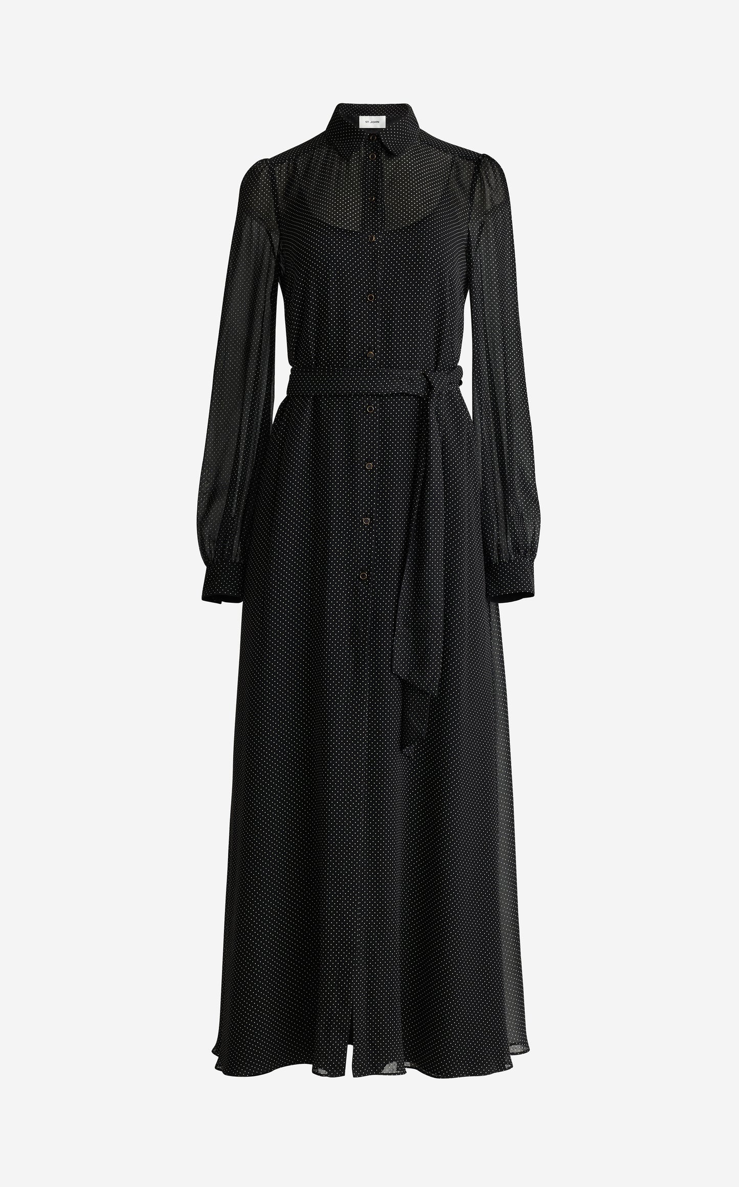 Lucienne Maxi Dress In Petite Dot Printed Silk