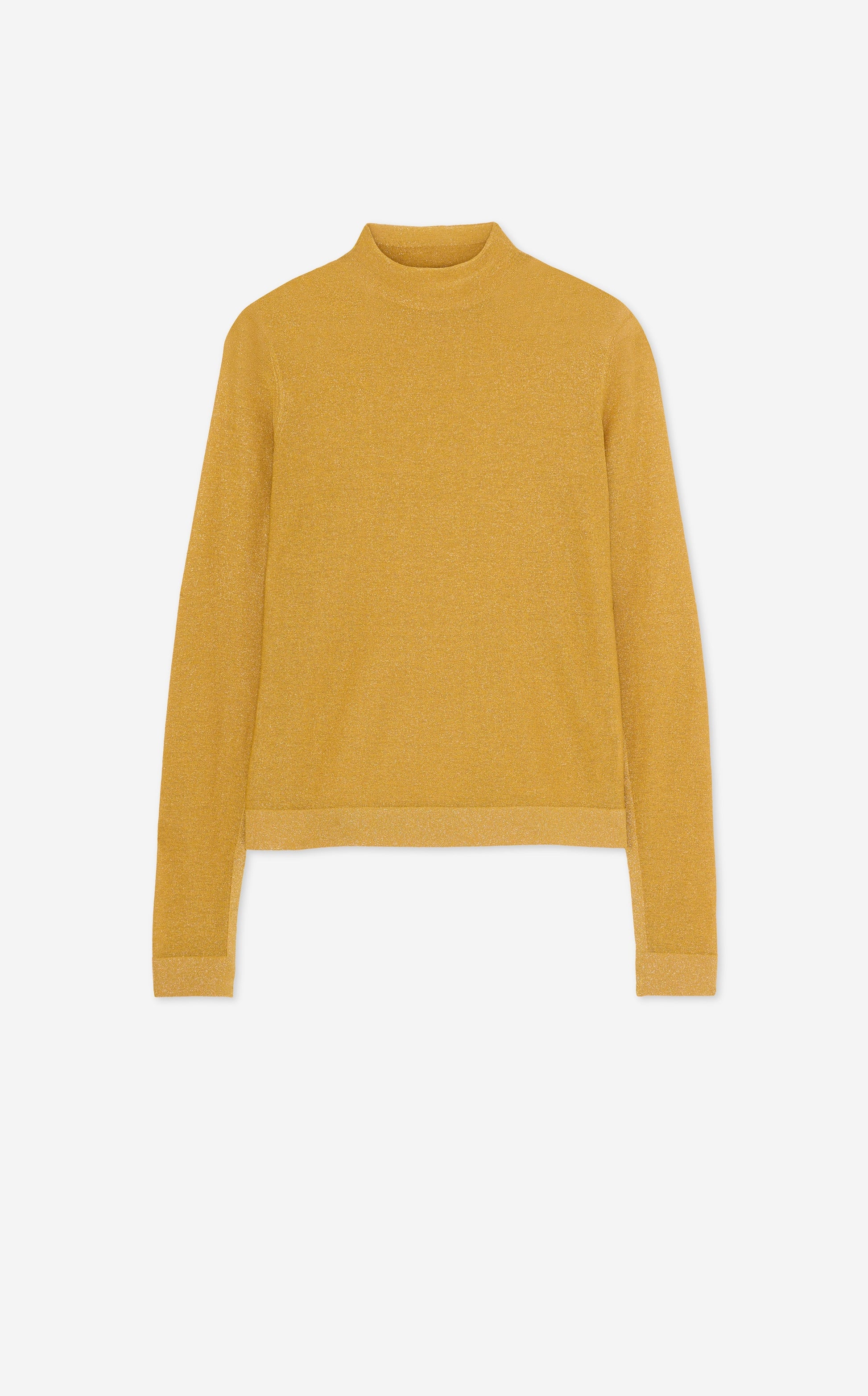 Lurex Jersey Knit Turtleneck